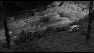 Deliverance — foto 2