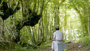 Trognes, les arbres aux mille visages — foto 1