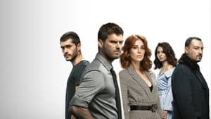 Çarpışma — foto 9