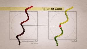 Food Evolution — foto 7