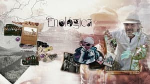Enológica — foto 1