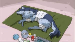 Episodio 34