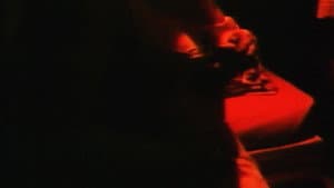Pulpe Amère — foto 4