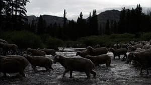 Hell Roaring Creek — foto 1