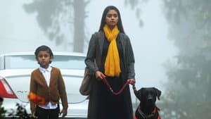 பெண்குயின் — foto 12