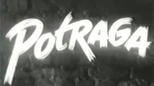 Potraga — foto 1