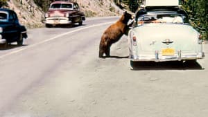 America's National Parks at 100 — foto 1