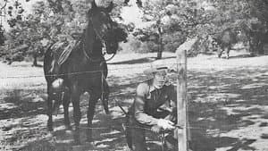 The Fighting Redhead — foto 1