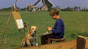 A Dog of Flanders — foto 4