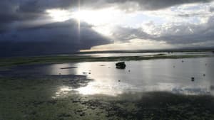 Africa's Lost Eden — foto 1