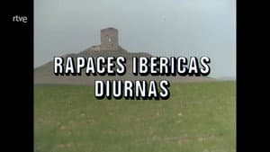 Episodio 87