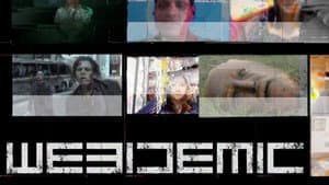 Webidemic — foto 1