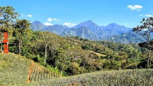 Honduras: Von Regenwald und Strand — foto 1