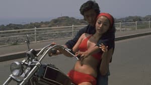 暴走の季節 — foto 1