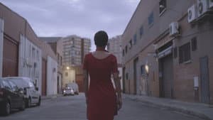 Tot el que brilla — foto 5