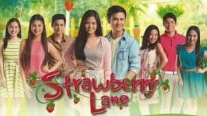 Strawberry Lane — foto 1
