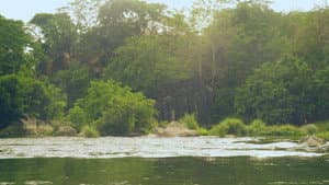 Alamat ng Isdang Kulay Bahaghari — foto 1