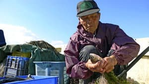 Fish! A Japanese Obsession — foto 1