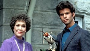 Falcon Crest — foto 1