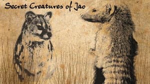 The Secret Creatures of Jao — foto 1