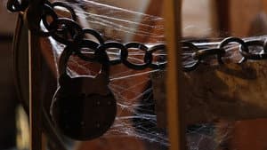 Delver Glass — foto 2