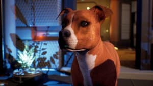 Avenger Dogs — foto 7