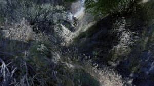 Alien Predator — foto 2