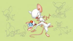 Pinky y Cerebro — foto 2