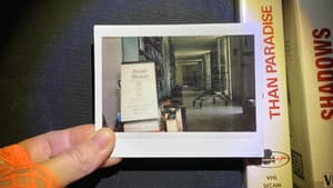 Kim's Video — foto 8