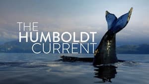 The Humboldt Current — foto 1