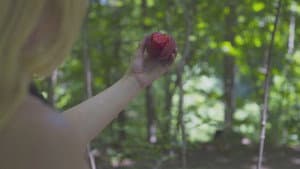 Peaches — foto 1