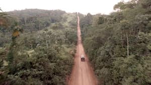 Transamazónica: un camino al pasado — foto 11