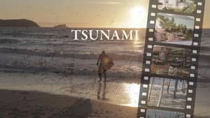 Tsunami — foto 1