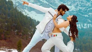 పెళ్లి సందD — foto 11