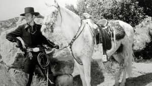 Zorro's Fighting Legion — foto 1
