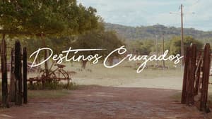 Destinos Cruzados — foto 1