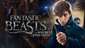 Animales Fantásticos: Y Dónde Encontrarlos — foto 9