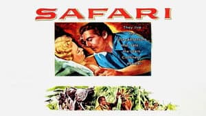 Safari — foto 4
