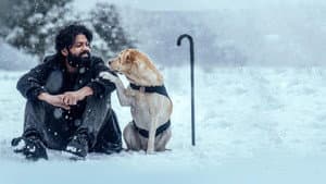 Charlie: Un perro especial — foto 1
