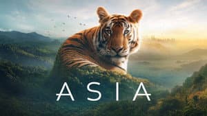 Asia — foto 6