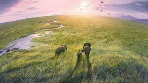 Planet Earth III — foto 1