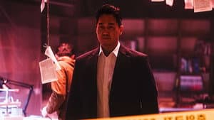 Vigilante — foto 12