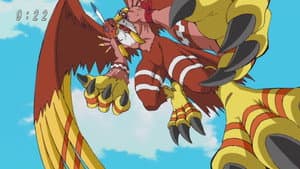 Episodio 13