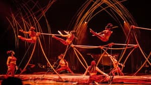 Cirque du Soleil: Amaluna — foto 8