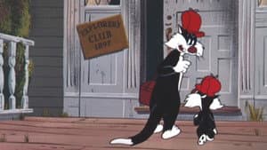 Freudy Cat — foto 1
