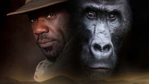 Silverback — foto 3