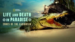 Life and Death in Paradise: Crocs of the Caribbean — foto 3