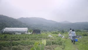守牛人 — foto 1