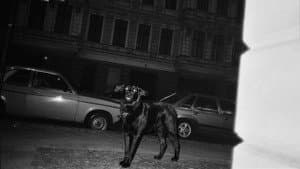 Ještě nejsem, kým chci být — foto 4