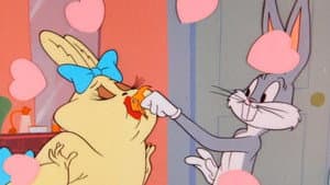 Rabbit Romeo — foto 1